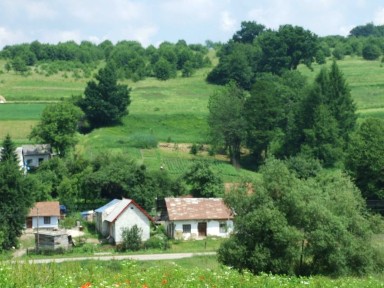 Продаж ділянки, будинку с. Поляна Львівська обл.