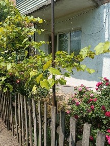 Продаж квартири 3+1 у м. Благовіщенське, Кіровоградскої обл., 58 кв. м.