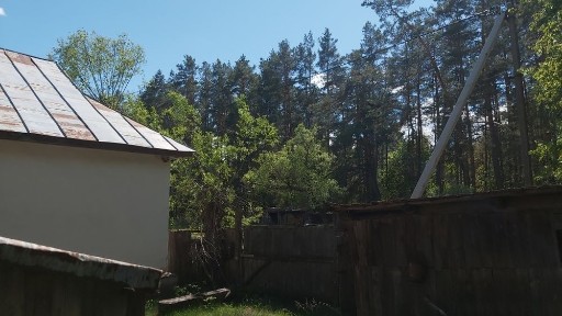 Чернігівська область, Грибова Рудня