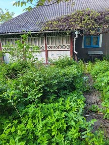 Здам в оренду ГОСПОДАРСТВО
