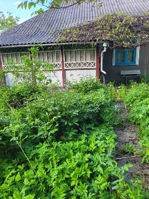Здам в оренду ГОСПОДАРСТВО