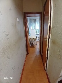 Харківська область, Харків, Шевченківський