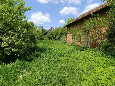 Продаж будинку і земельної ділянки село Орішківці