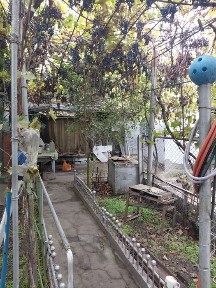 Продаётся два домика на одном участке (Ялты)