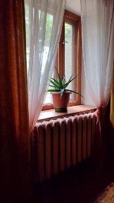 Продам дом Б-Днестровский