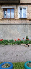 Продаж 2 кім кв р-н центрального ринку