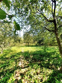 Продам дом на Холодной Горе