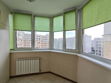 Київська область, Софіївська Борщагівка