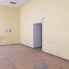 Київська область, Київ, Шевченківський