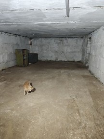 Капитальный дом с большим подвалом на 32 сотках. Троицкое, Одесский район