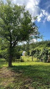 Львівська область, Бар