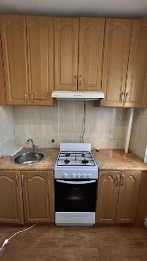 1 кімнатна Новомиколаївка з автономним газовим опаленням