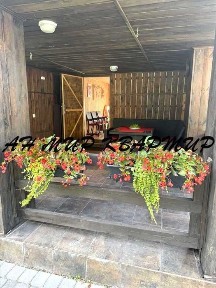 Сосновий ліс! Дача на березі річки!