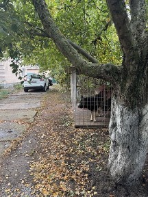 Продається будинок з землею