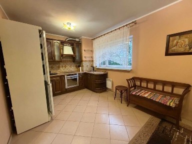 Дніпропетровська область, Дніпро, Центральний