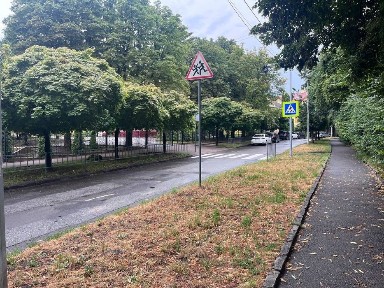 Львівська область, Львів, Франківський