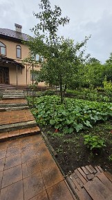 Чернівецька область, Чернівці
