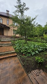 Чернівецька область, Чернівці