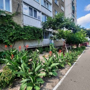 Київська область, Київ, Деснянський
