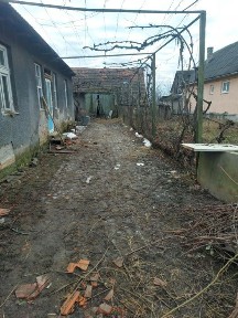 Продам будинок Великі Лучки
