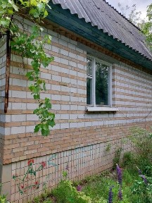 Цегляний 2 поверховий будинок, гараж с. Ясногородка Фастівський р-н ТОРГ!
