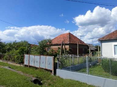 Продається будинок (з 51 сотками землі) в мальовничому селі