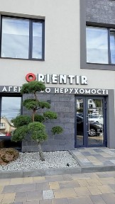 Київська область, Буча