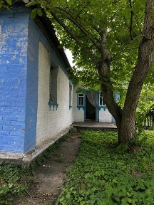 Центральна вулиця, Мала Сквирка, вул. Центральна • ID 34646131