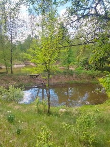 Терміново продам будинок дача в с, Перлявка 29000 у.е. торг