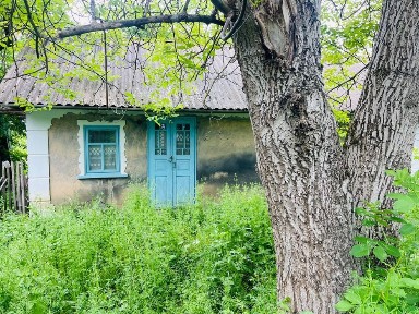 Продаж будинку в с. Березівка