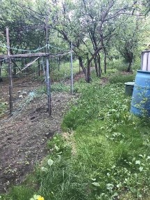 Будинок у центрі Сновськ частина гараж сад