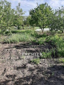 Продам будинок в Кошарах