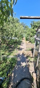 Дача з будинком в Центрально-Міському районі