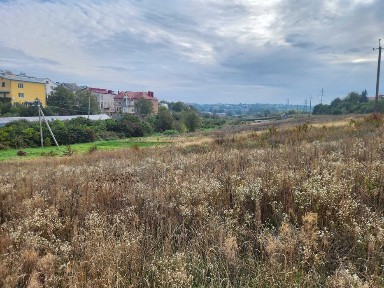 Тернопільська область, Петриків