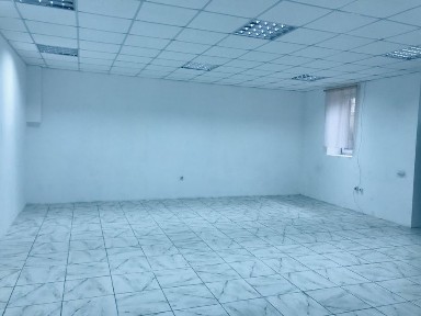 Рівненська область, Рівне