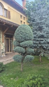 Одеська область, Бурлача Балка