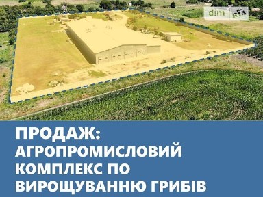 Продаж спеціального приміщення на Шевченка 8, площа 2076 кв. м • ID 33041531