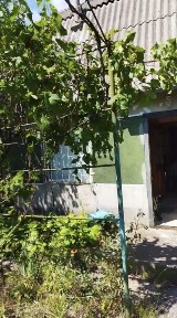 Дачные участки с садовыми домиками