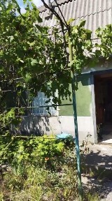 Одеська область, Прибережне