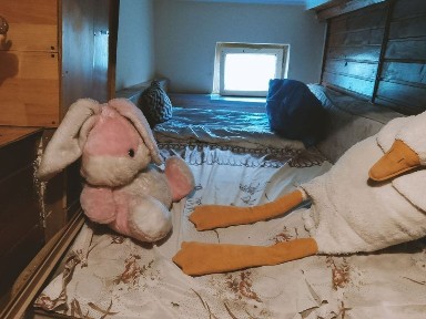 40грн/чел/день. Маленькая комнатка, 1-2спальных места. Без комиссии. Можно с животными. Малиновский рынок. Остановка маршрутки прямо на море Защищённая