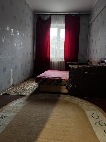 Київська область, Старі Петрівці