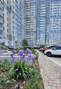 Высота, простор и бесконечный горизонт