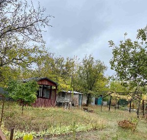 Продам доглянуту дачну ділянку