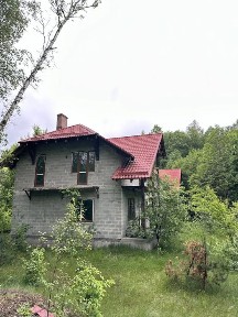 Продаж двох котеджів (або один) недалеко від Шацьку