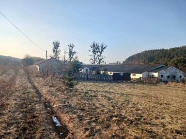 Львівська область, Потелич