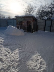 ПРОДАЖ цегляного будинку по вул. Воронізькій