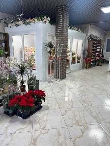 Фасадна будівля: комерція 59 м² + житло 102 м², центр