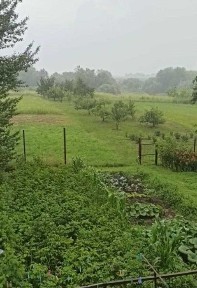 Продається житловий будинок в с. Пінчуки