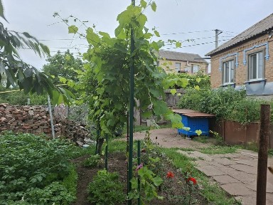 Продам пол дома Б. балка. отд двор.