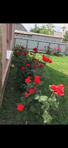 Продам будинок у Вилковому